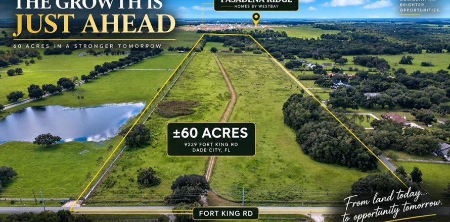 Land in Dade City, Florida № 2379384