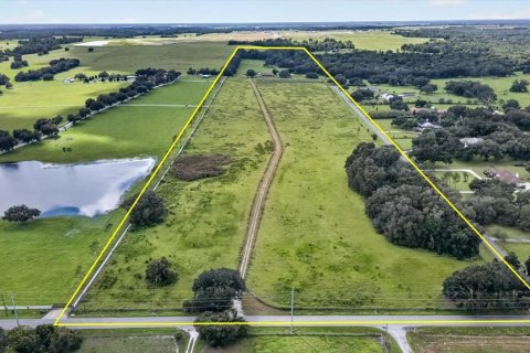 Land in Dade City, Florida № 2379384 - photo 3