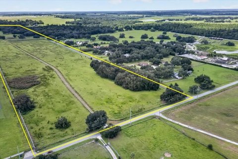 Land in Dade City, Florida № 2379384 - photo 8