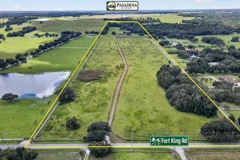 Land in Dade City, Florida № 2379384 - photo 2