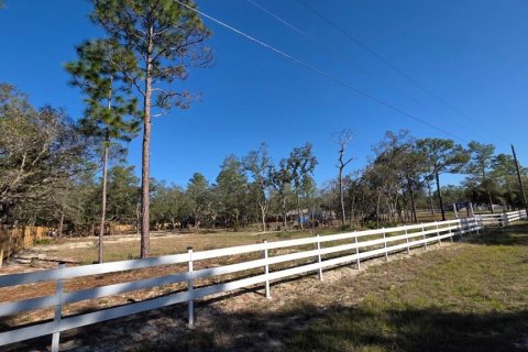 Terreno en venta en Weeki Wachee, Florida № 1574234 - foto 3