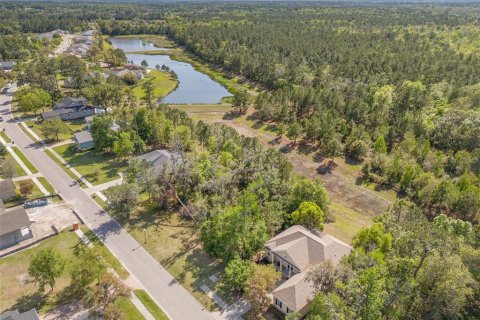 Land in Brooksville, Florida № 1598569 - photo 3