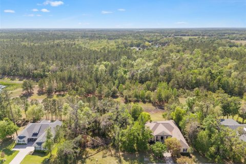 Land in Brooksville, Florida № 1598569 - photo 2