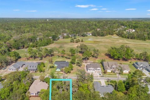 Land in Brooksville, Florida № 1598569 - photo 7