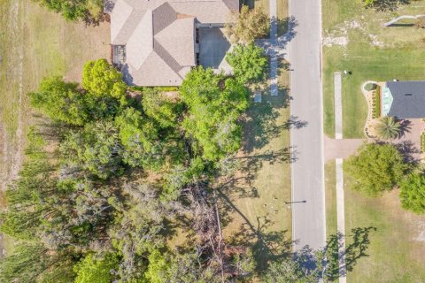 Land in Brooksville, Florida № 1598569 - photo 8