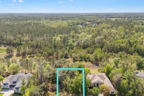 Land in Brooksville, Florida № 1598569 - photo 1