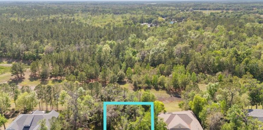 Land in Brooksville, Florida № 1598569