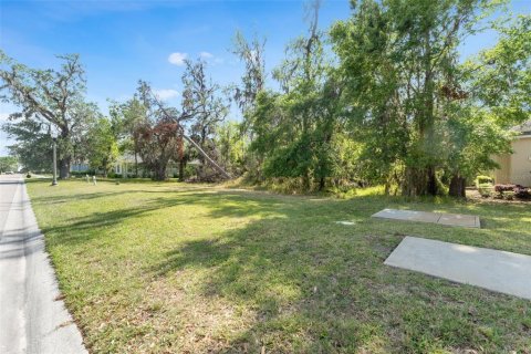 Land in Brooksville, Florida № 1598569 - photo 9