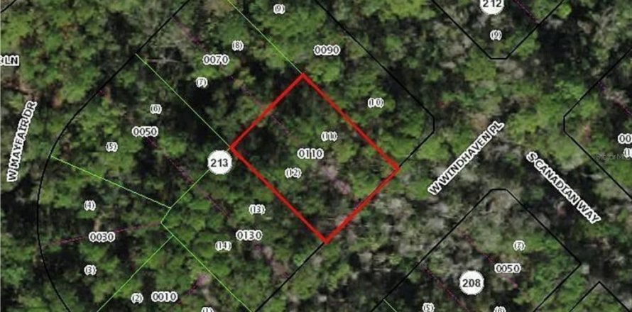 Terrain à Homosassa, Floride № 2160298