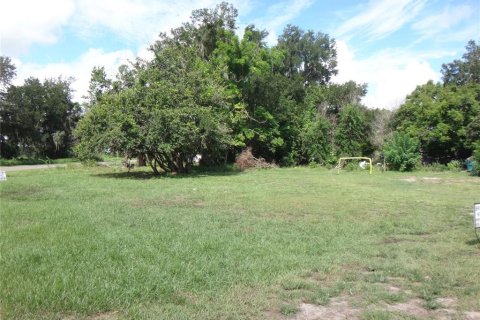 Land in Fort Meade, Florida № 2348226