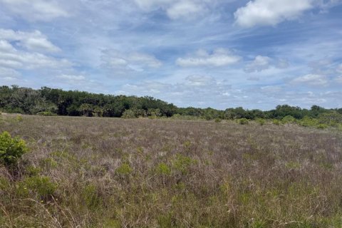 Propiedad comercial en Okeechobee, Florida № 2158300