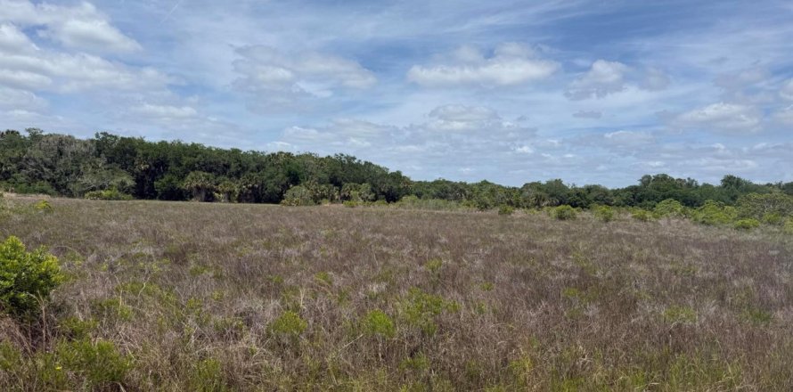 Propiedad comercial en Okeechobee, Florida № 2158300