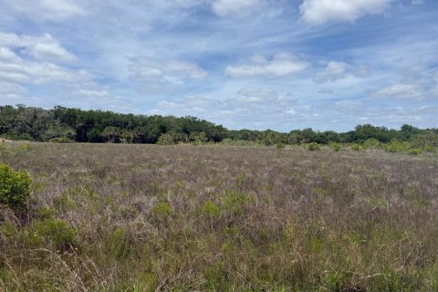Propiedad comercial en venta en Okeechobee, Florida № 2158300 - foto 2