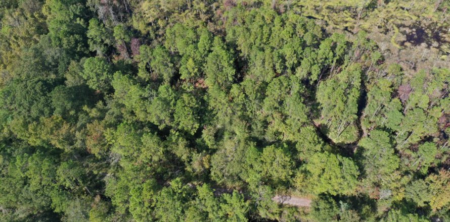 Land in Baldwin, Florida № 801911