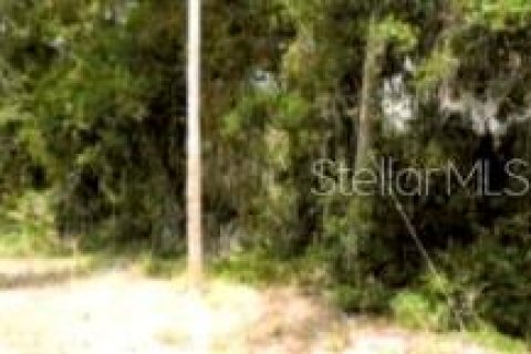Terreno en venta en Winter Garden, Florida № 2119334 - foto 5