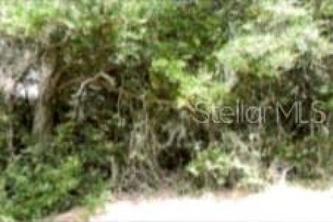 Terreno en venta en Winter Garden, Florida № 2119334 - foto 4