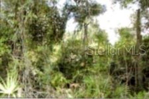 Terreno en venta en Winter Garden, Florida № 2119334 - foto 7