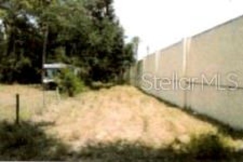 Terreno en venta en Winter Garden, Florida № 2119334 - foto 3