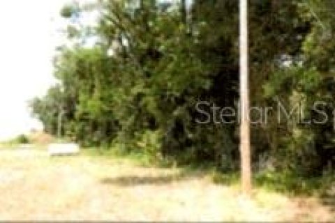 Terreno en venta en Winter Garden, Florida № 2119334 - foto 6