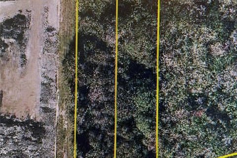 Land in Winter Garden, Florida № 2119334