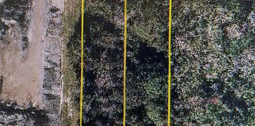 Terreno en Winter Garden, Florida № 2119334