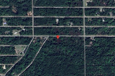 Land in Georgetown, Florida № 2165182 - photo 2