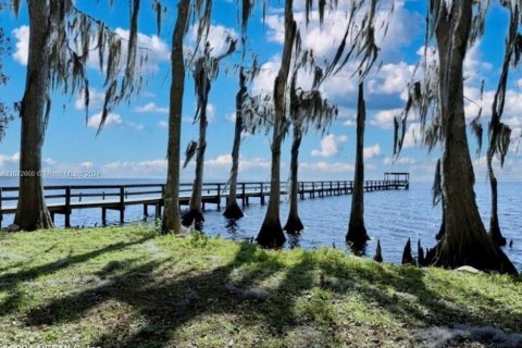 Land in Georgetown, Florida № 2165182 - photo 3