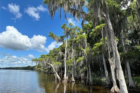 Land in Georgetown, Florida № 2165182 - photo 8