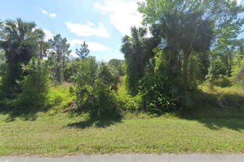 Land in Georgetown, Florida № 2165182