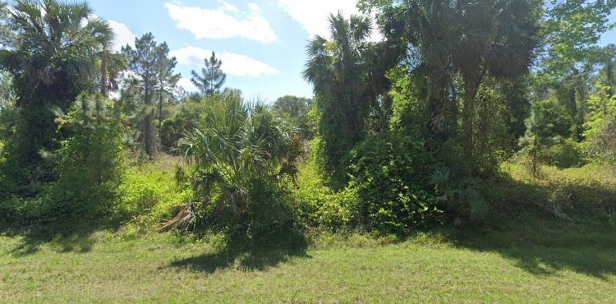 Land in Georgetown, Florida № 2165182