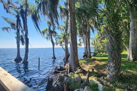 Land in Georgetown, Florida № 2165182 - photo 5