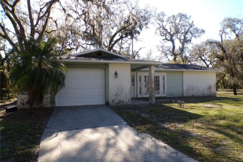 House in Valrico, Florida 2 bedrooms, 128.02 sq.m. № 1614638 - photo 1