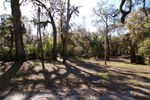 House in Valrico, Florida 2 bedrooms, 128.02 sq.m. № 1614638 - photo 5