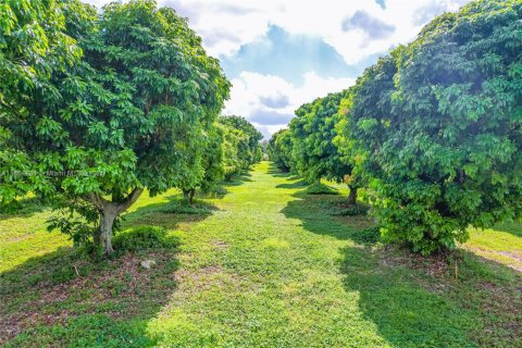 Villa ou maison à vendre à Homestead, Floride: 4 chambres, 217.76 m2 № 1978740 - photo 4