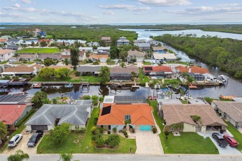 Купить виллу или дом в Порт-Ричи, Флорида 7 комнат, 175.03м2, № 1789818 - фото 1