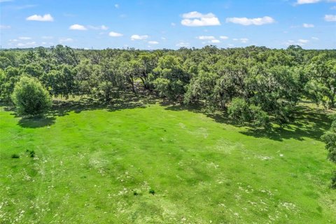Terrain à vendre à Bushnell, Floride № 2223639 - photo 8