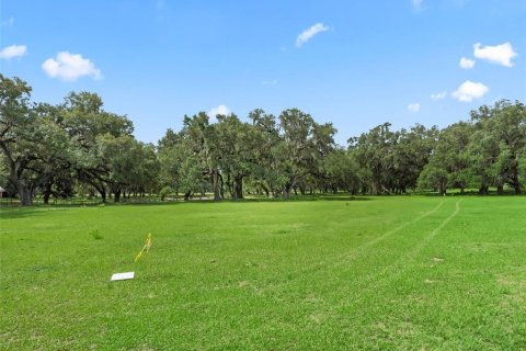 Terrain à vendre à Bushnell, Floride № 2223639 - photo 3