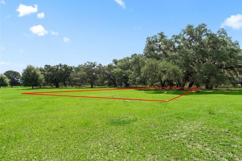 Terrain à vendre à Bushnell, Floride № 2223639 - photo 12