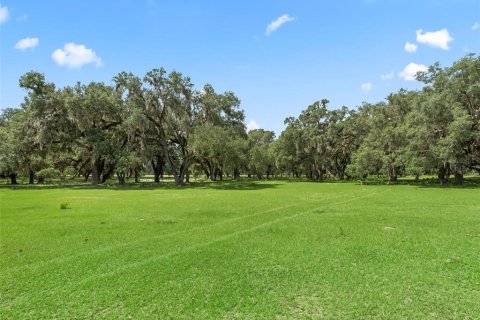 Terrain à vendre à Bushnell, Floride № 2223639 - photo 4