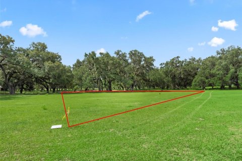 Terrain à vendre à Bushnell, Floride № 2223639 - photo 2