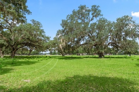 Terrain à vendre à Bushnell, Floride № 2223639 - photo 28