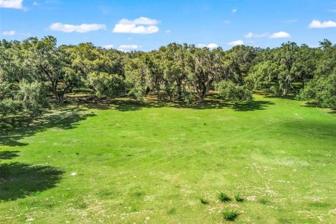 Terrain à vendre à Bushnell, Floride № 2223639 - photo 6