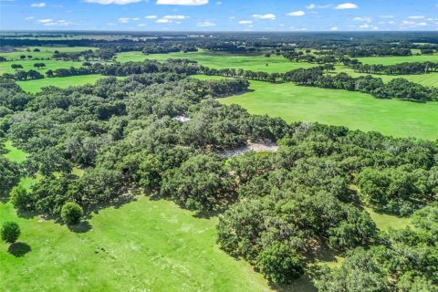 Terrain à vendre à Bushnell, Floride № 2223639 - photo 16
