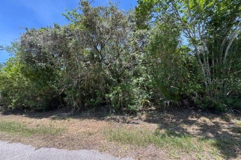 Land in Port Charlotte, Florida № 2218547 - photo 3