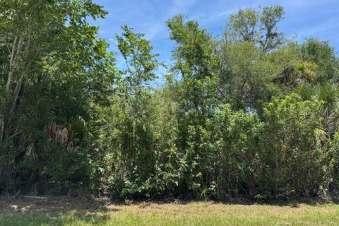 Terreno en Port Charlotte, Florida № 2218547