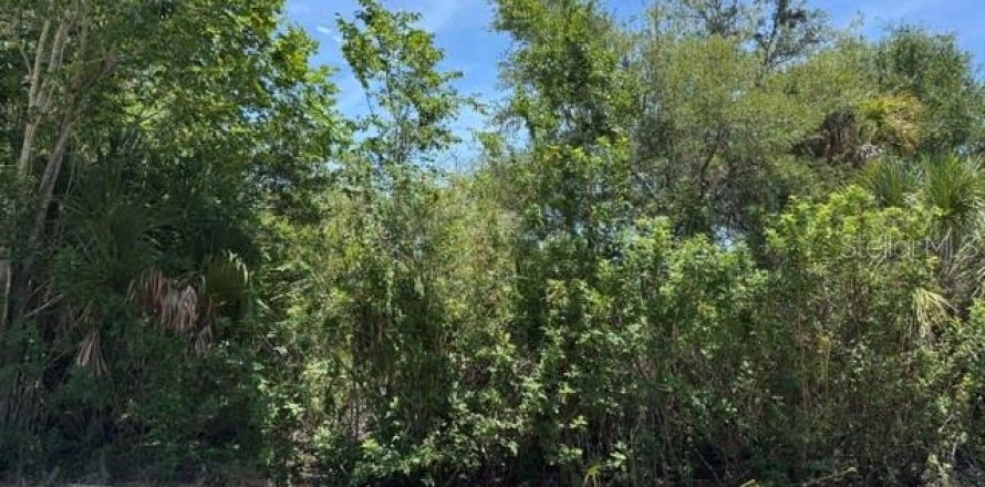 Land in Port Charlotte, Florida № 2218547