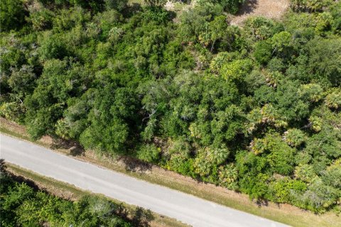 Land in Port Charlotte, Florida № 2218547 - photo 4