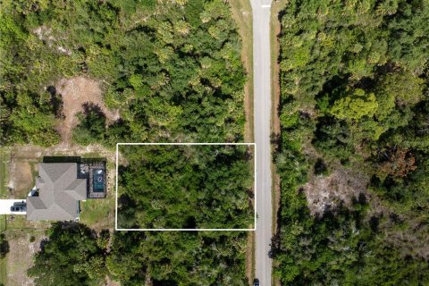 Land in Port Charlotte, Florida № 2218547 - photo 6