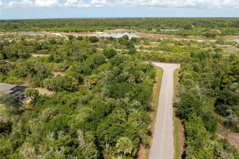 Land in Port Charlotte, Florida № 2218547 - photo 2