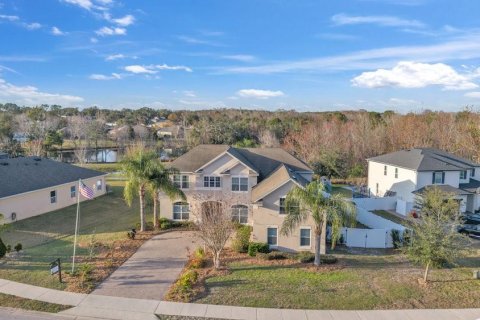 House in Eustis, Florida 5 bedrooms, 380.34 sq.m. № 1757971 - photo 1